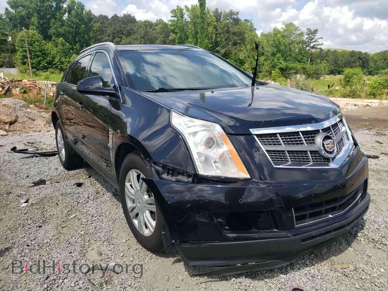 Фотография 3GYFNAE31CS611991 - CADILLAC SRX 2012