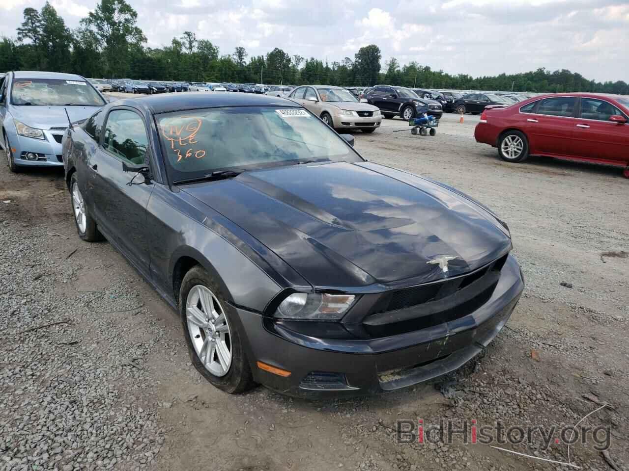 Photo 1ZVBP8AN7A5137807 - FORD MUSTANG 2010
