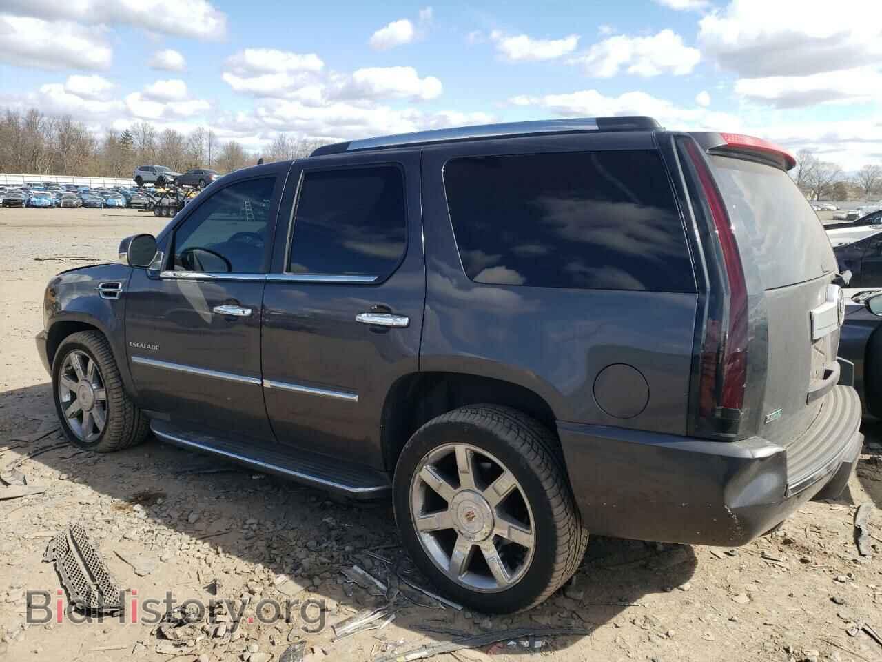 2011 CADILLAC ESCALADE - VIN: 1GYS4BEF8BR244168 - Фото 2