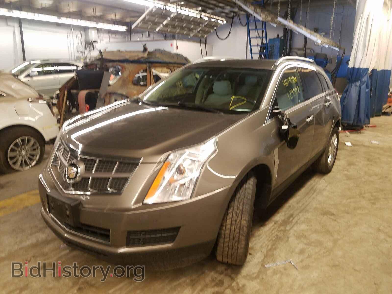 2012 CADILLAC SRX - VIN: 3GYFNAE31CS524463 - Фото 2