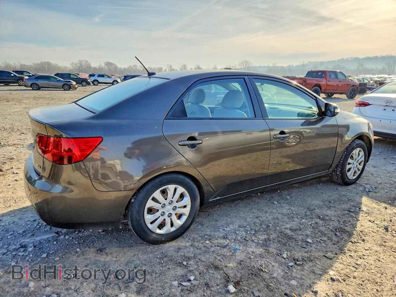 2010 KIA FORTE - VIN: KNAFU4A25A5813003 - Фото 3