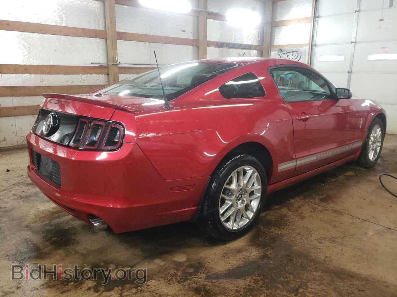 2013 FORD MUSTANG - VIN: 1ZVBP8AM6D5254306 - Фото 4