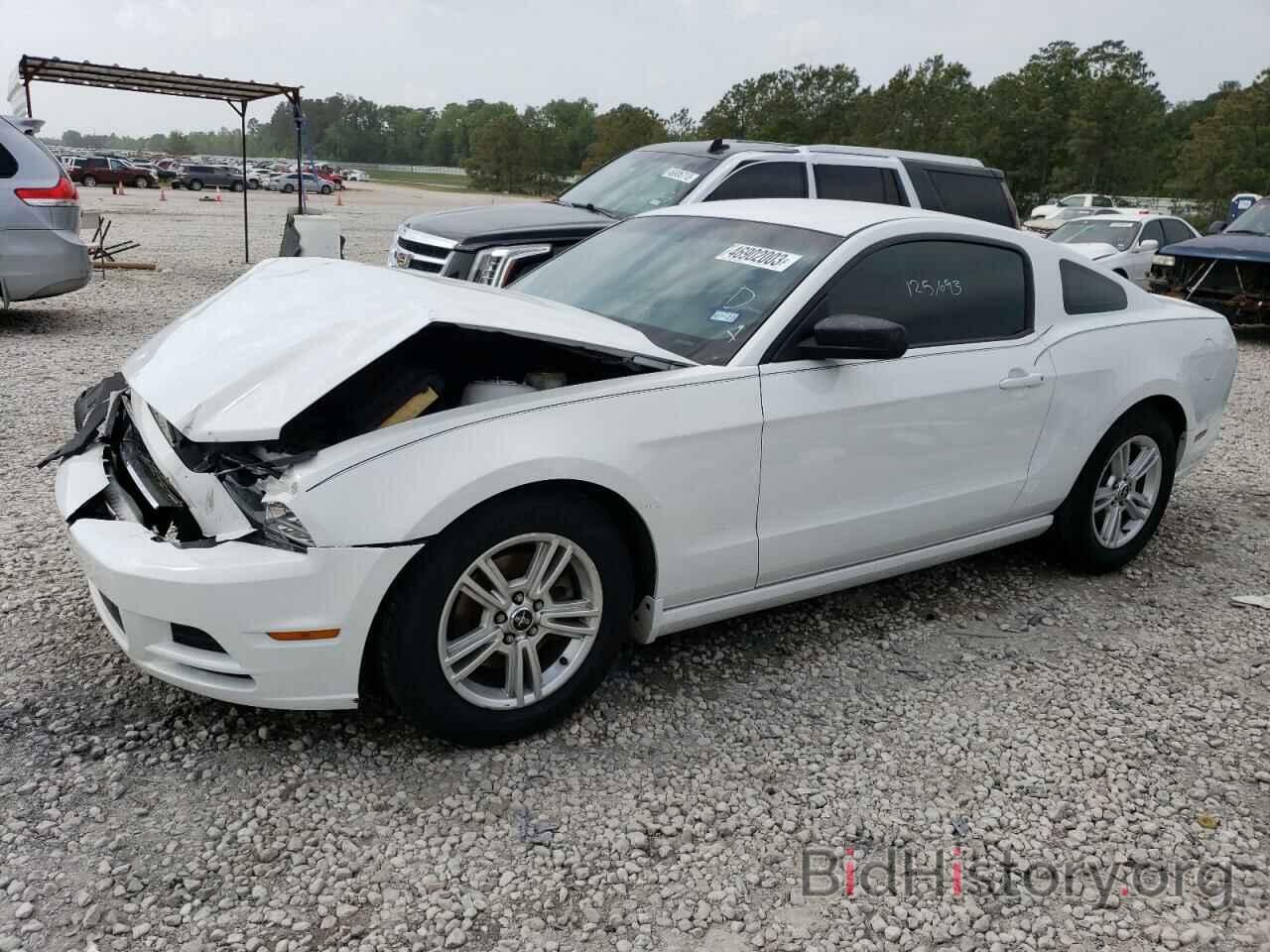 Photo 1ZVBP8AM6E5302436 - FORD MUSTANG 2014