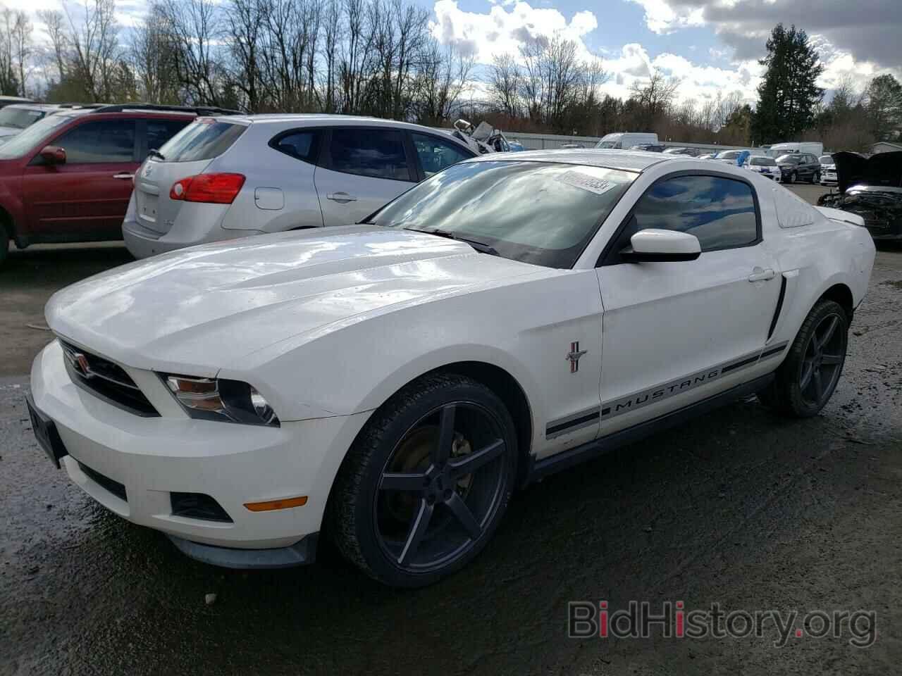 Photo 1ZVBP8AM6C5228125 - FORD MUSTANG 2012