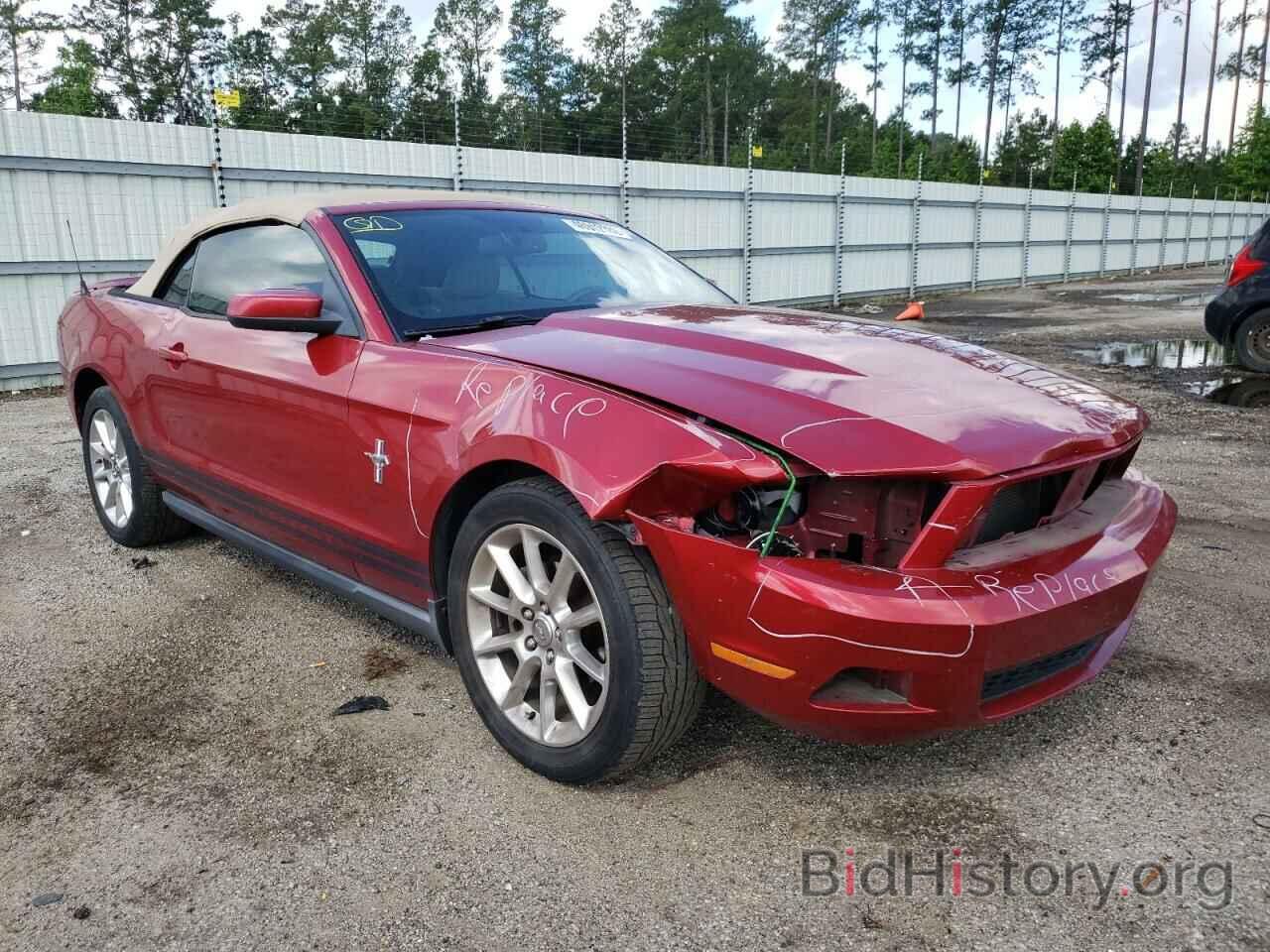 Photo 1ZVBP8EN2A5152452 - FORD MUSTANG 2010