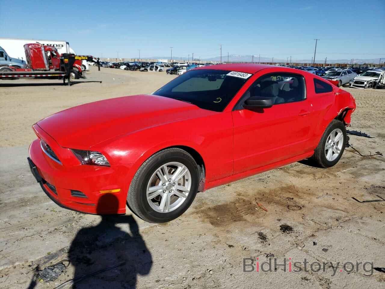 Photo 1ZVBP8AM5D5268195 - FORD MUSTANG 2013