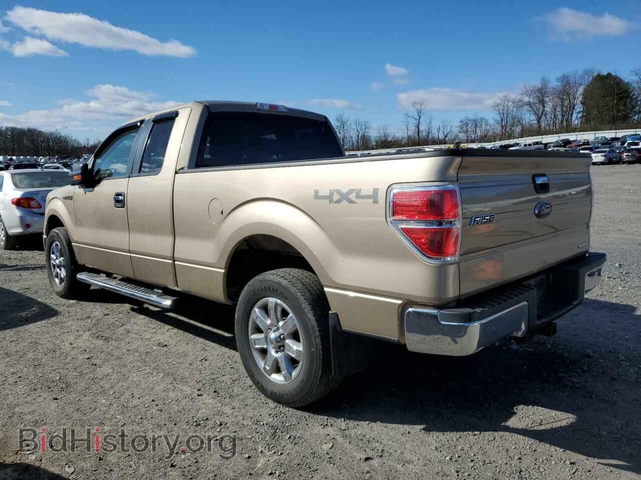 2013 FORD F-150 - VIN: 1FTFX1EFXDFA25967 - Фото 2