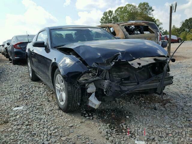 Photo 1ZVBP8AM2E5330119 - FORD MUSTANG 2014