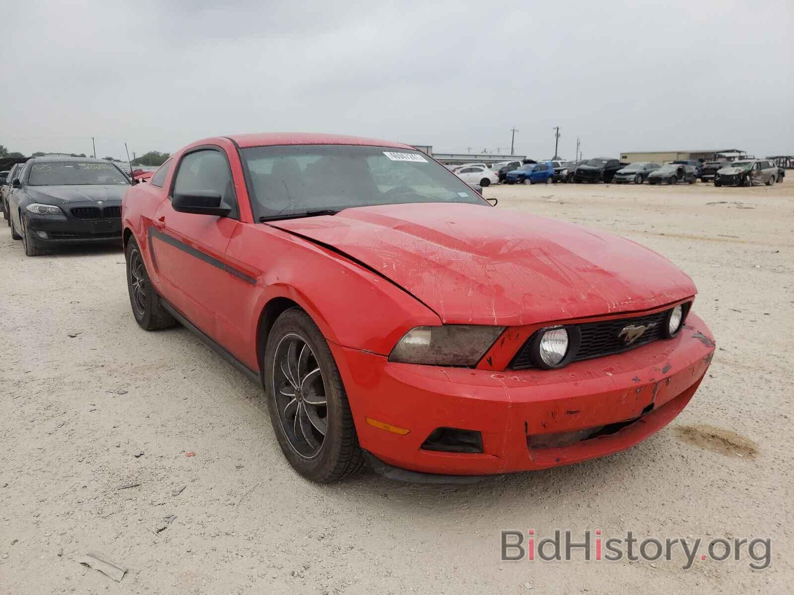 Фотография 1ZVBP8AM7B5136178 - FORD MUSTANG 2011