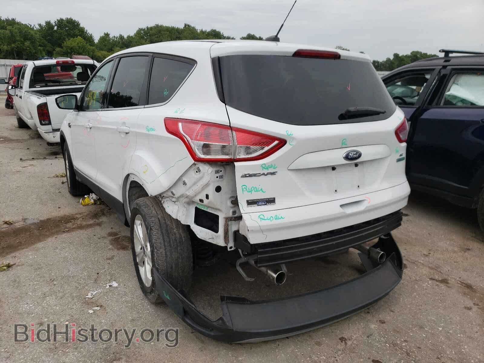 2013 FORD ESCAPE - VIN: 1FMCU0GX4DUD07850 - Фото 3