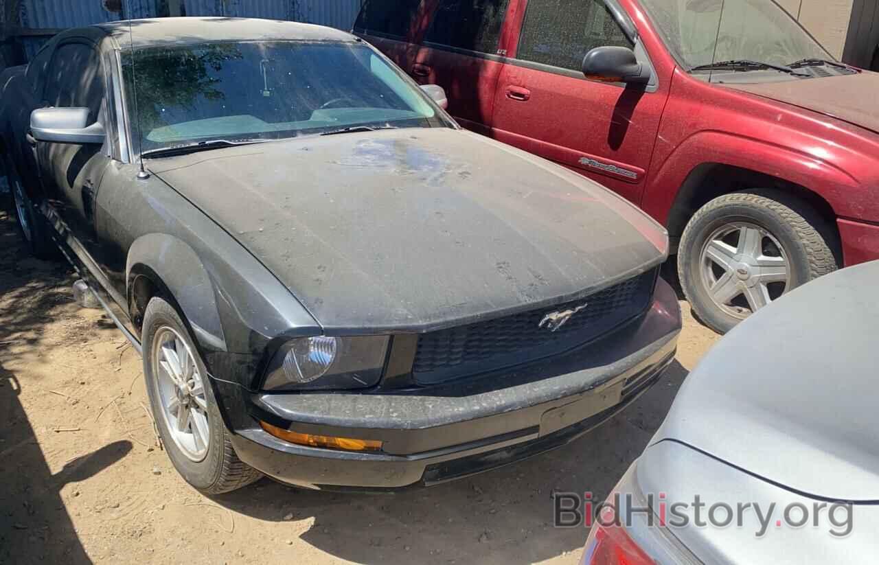 Photo 1ZVFT80N065164241 - FORD MUSTANG 2006