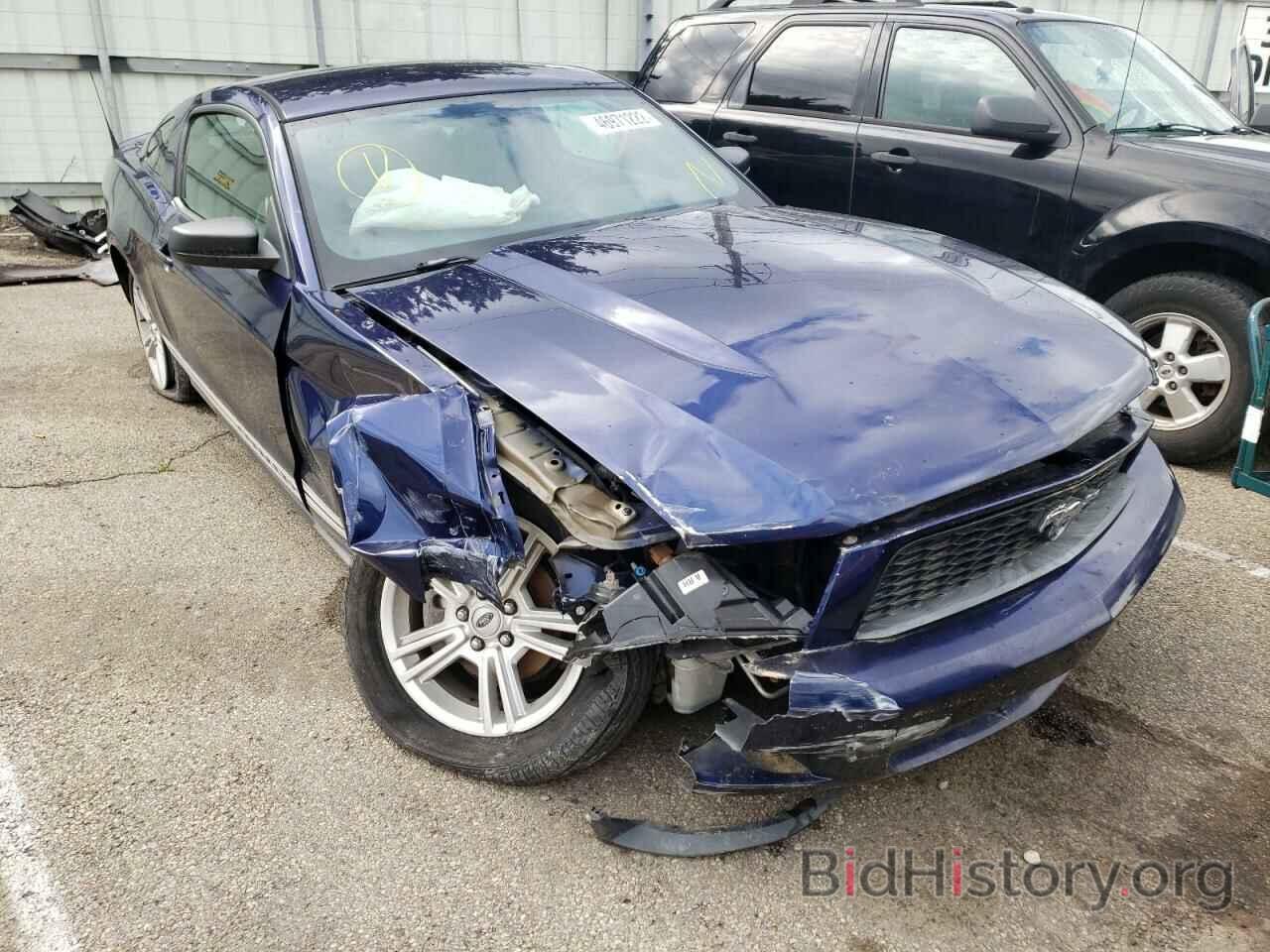 Photo 1ZVBP8AN7A5150301 - FORD MUSTANG 2010