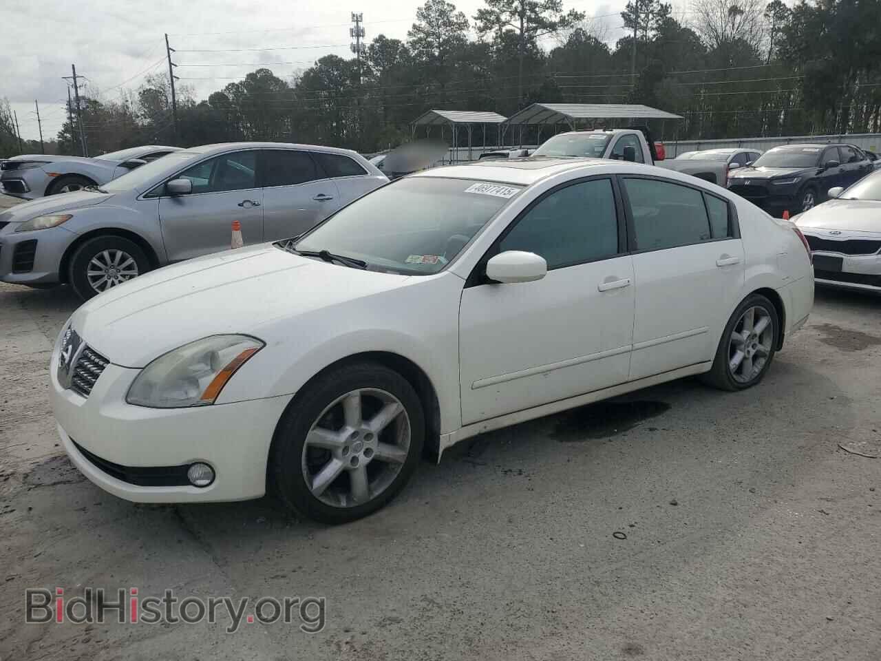 Photo 1N4BA41E56C853952 - NISSAN MAXIMA 2006