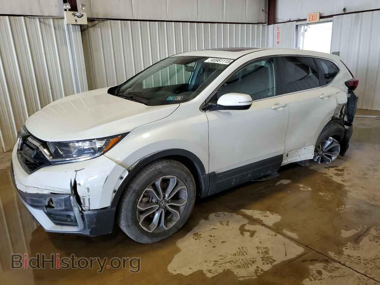 Photo 2HKRW2H56MH630986 - HONDA CRV 2021