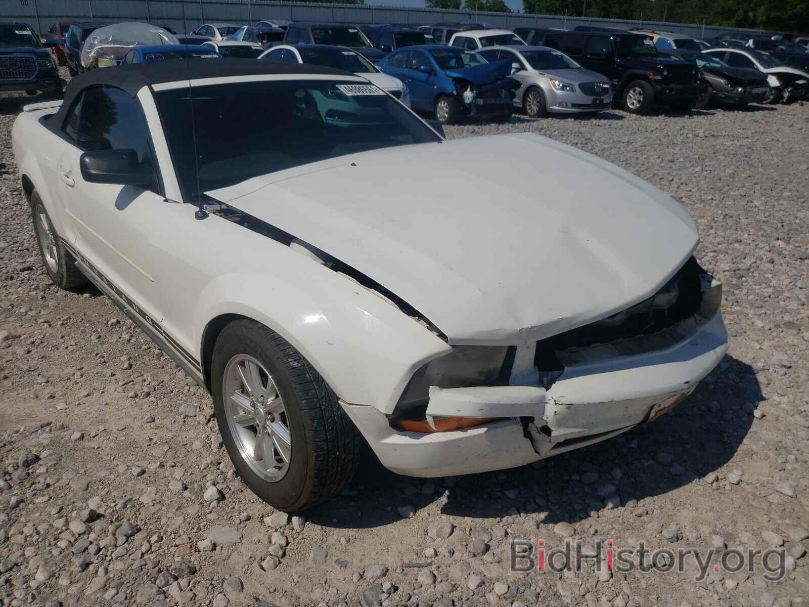 Photo 1ZVFT84N475301290 - FORD MUSTANG 2007