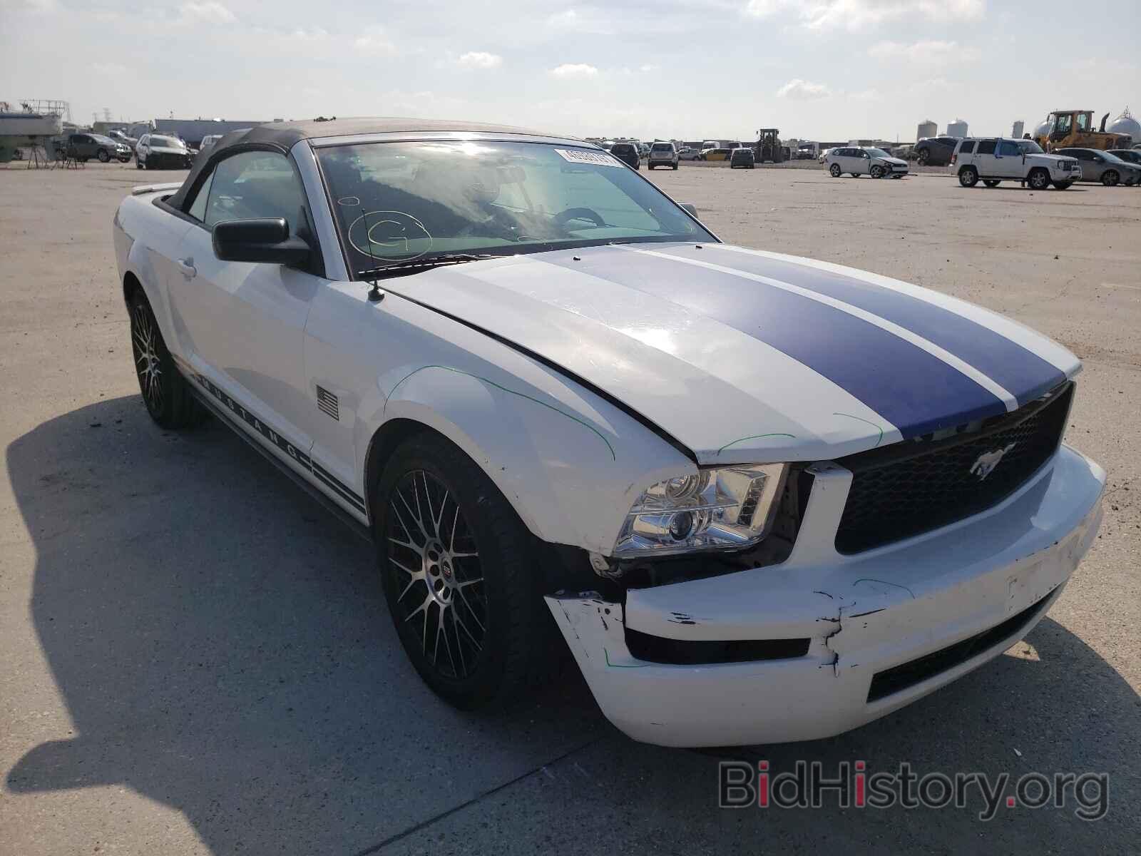 Photo 1ZVHT84N395108270 - FORD MUSTANG 2009