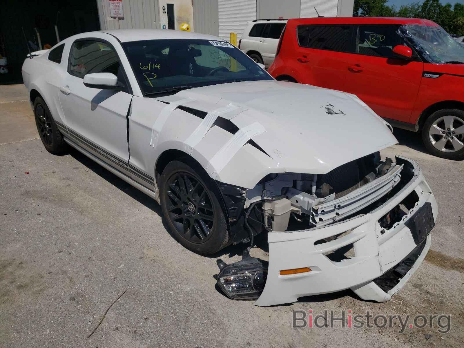 Photo 1ZVBP8AM7E5289499 - FORD MUSTANG 2014
