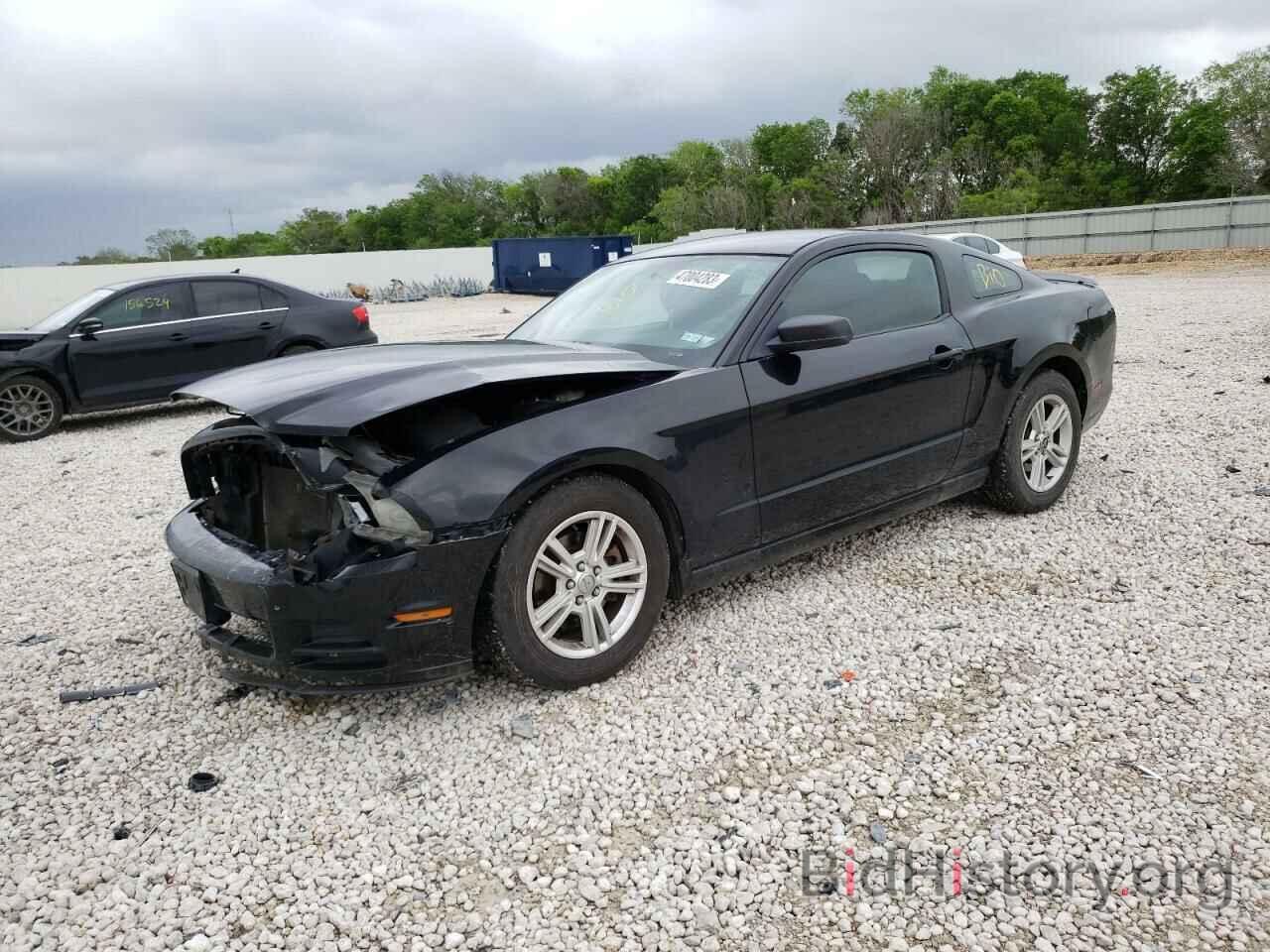 Photo 1ZVBP8AM1D5259106 - FORD MUSTANG 2013