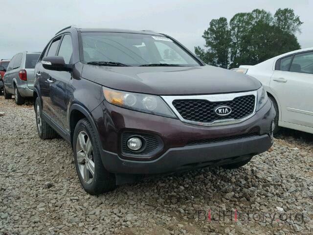 Photo 5XYKUCA65DG396556 - KIA SORENTO EX 2013