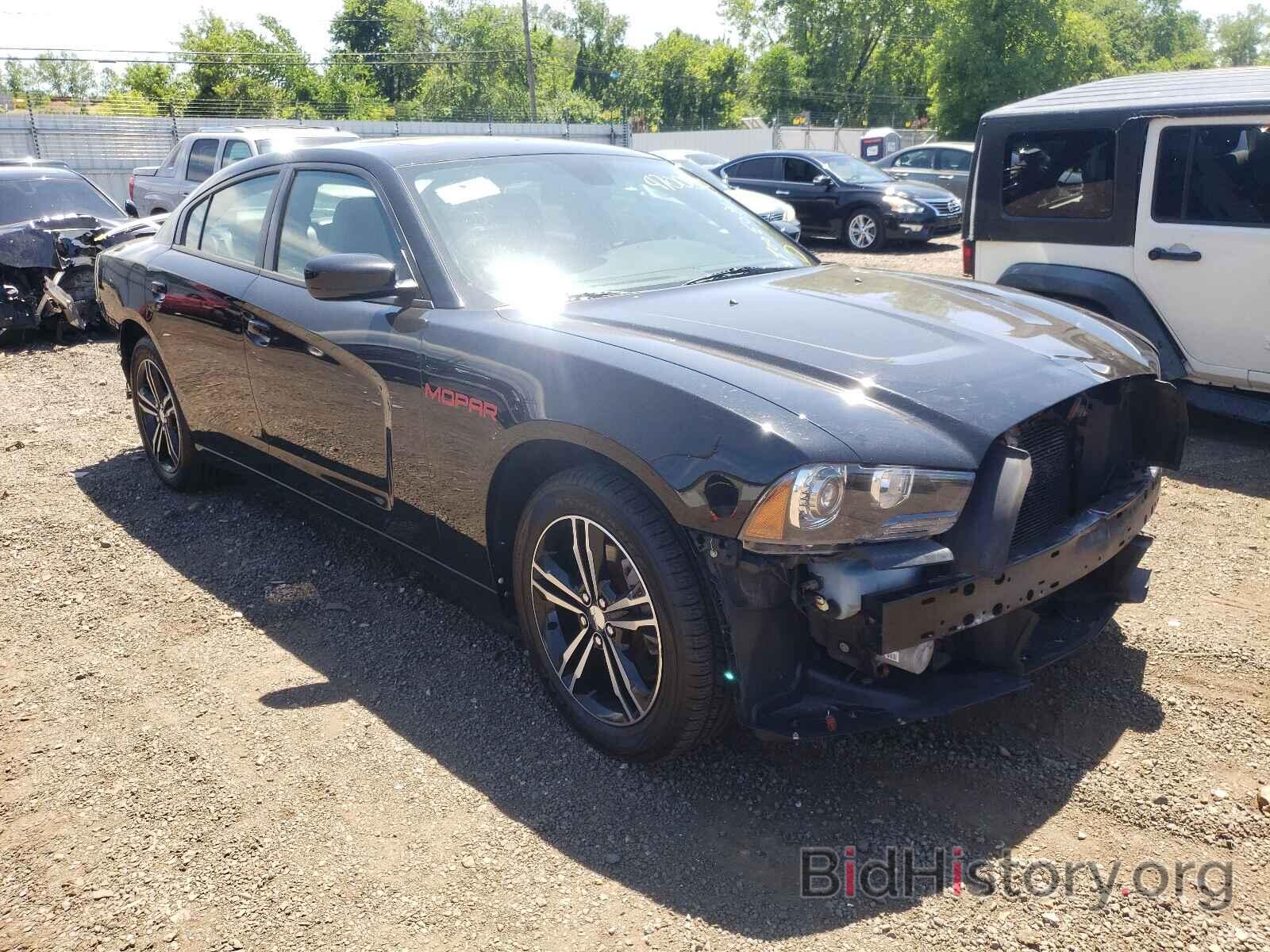 Photo 2C3CDXJG8EH262829 - DODGE CHARGER 2014