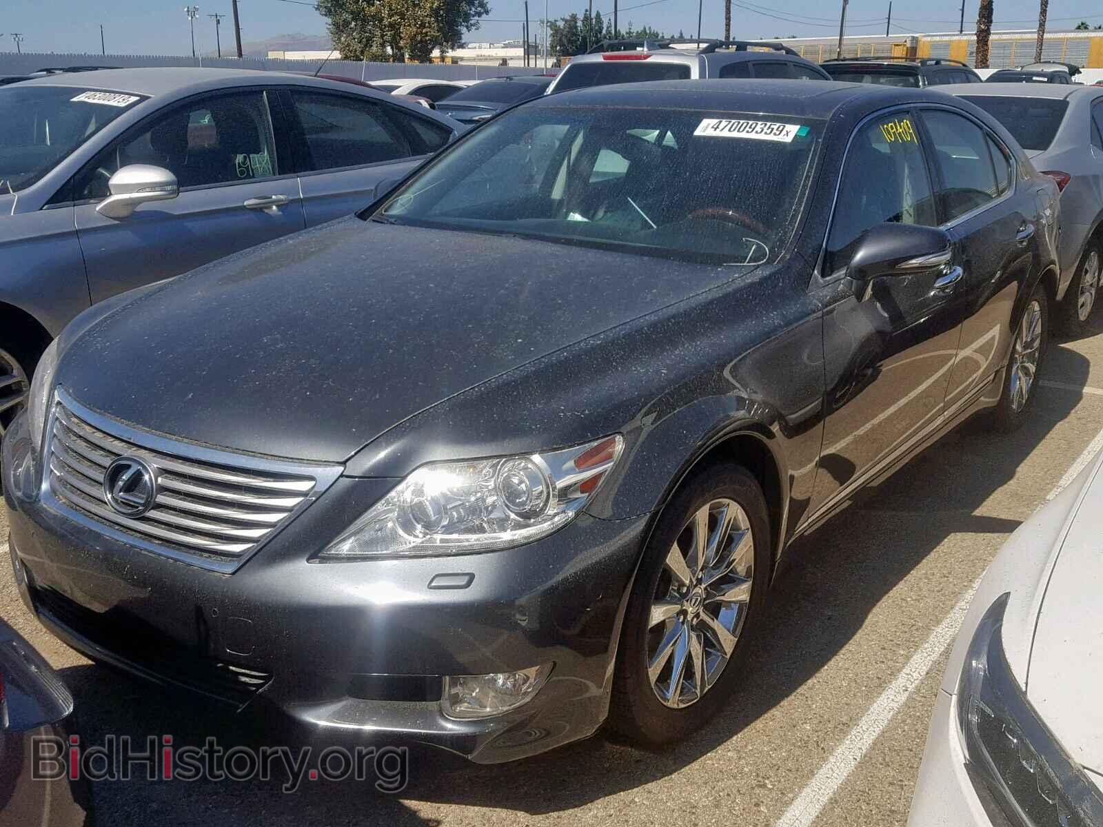2010 LEXUS LS460 - VIN: JTHBL5EF3A5097420 - Фото 2