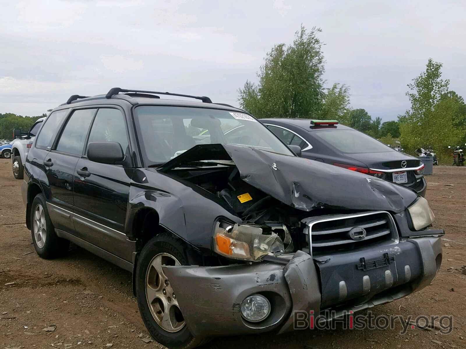 Photo JF1SG65693H711518 - SUBARU FORESTER 2003