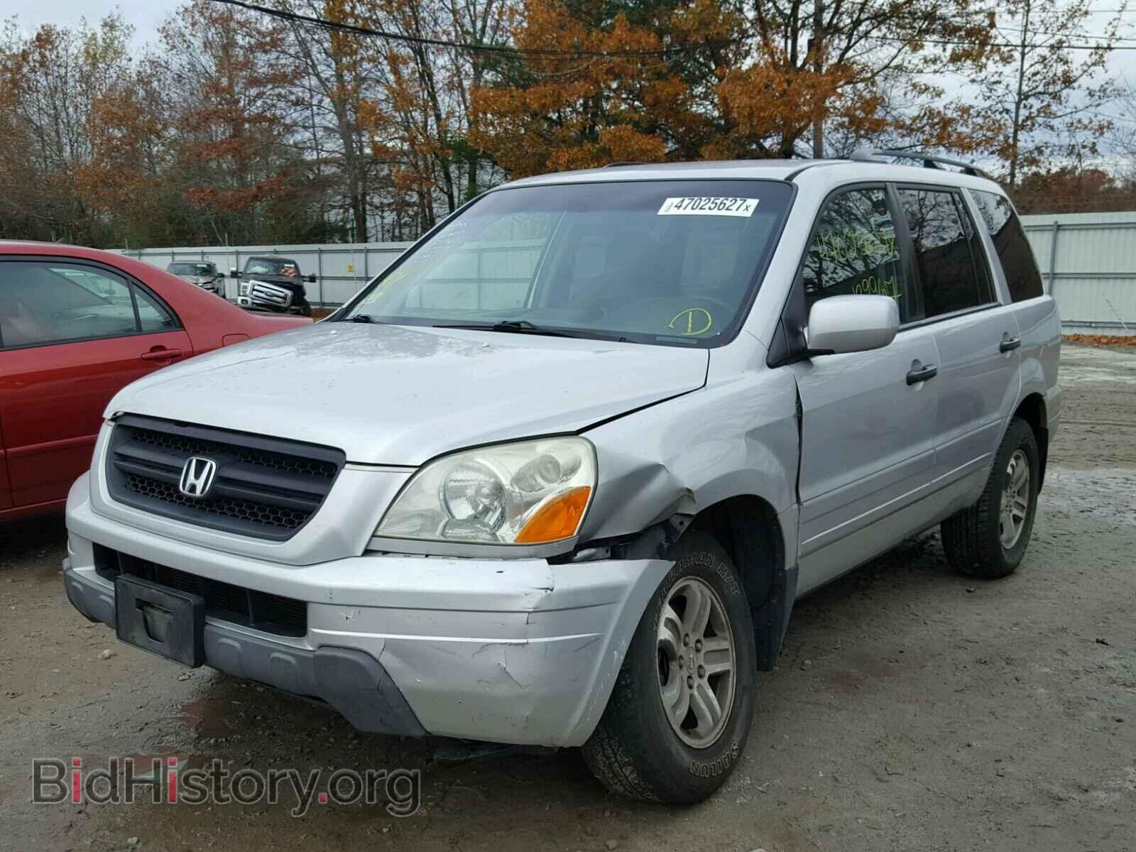 2005 HONDA PILOT - VIN: 2HKYF18405H559458 - Фото 2