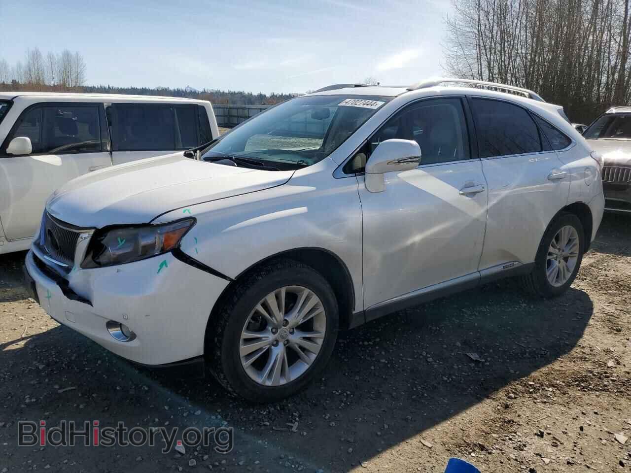 Фотография JTJBC1BA6A2024799 - LEXUS RX450 2010