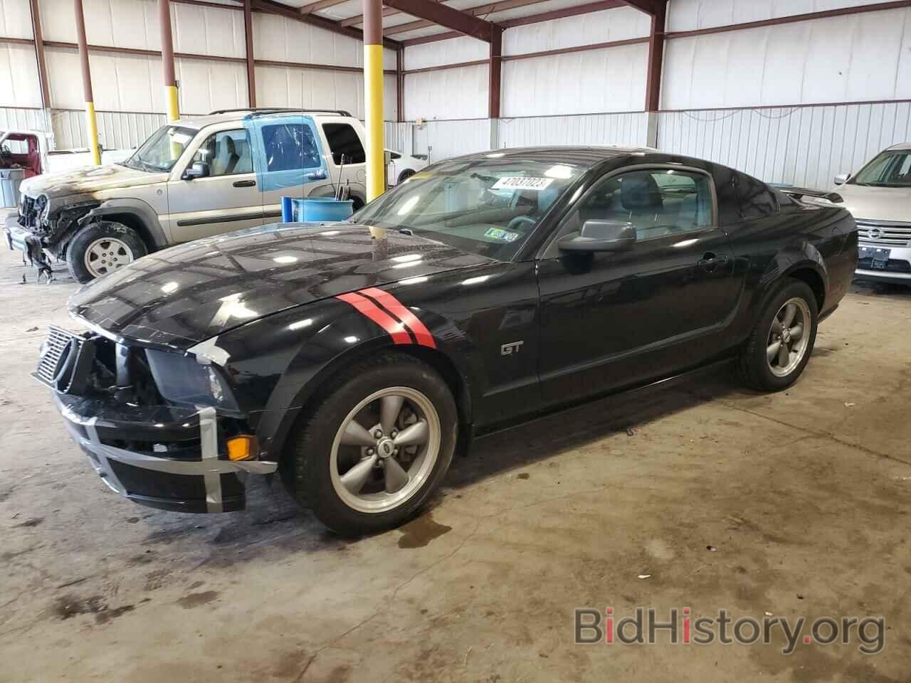Photo 1ZVHT82H665176474 - FORD MUSTANG 2006