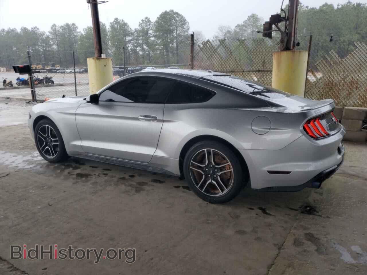 2019 FORD ALL Models - VIN: 1FA6P8THXK5195638 - Photo 2