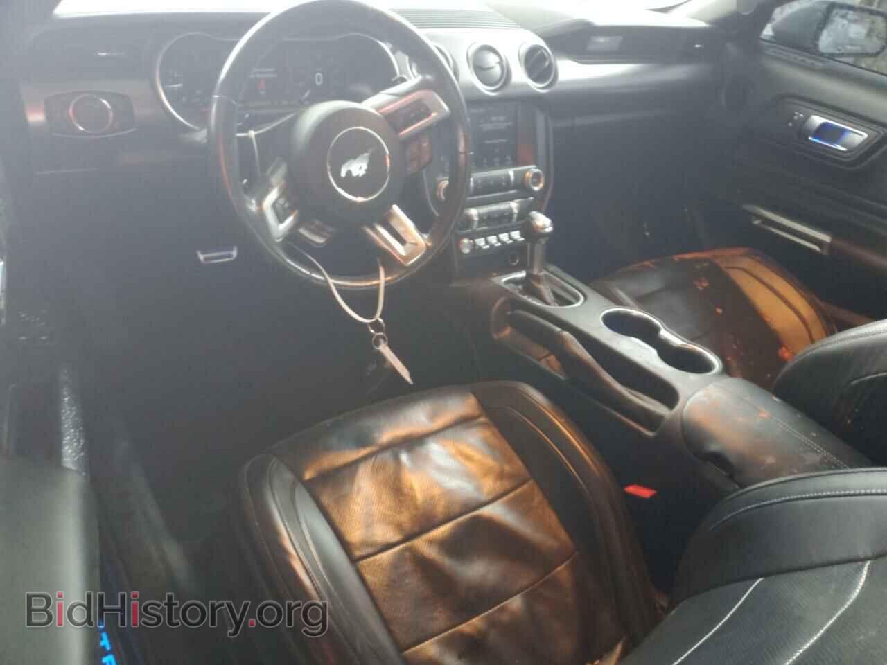 2019 FORD ALL Models - VIN: 1FA6P8THXK5195638 - Photo 8