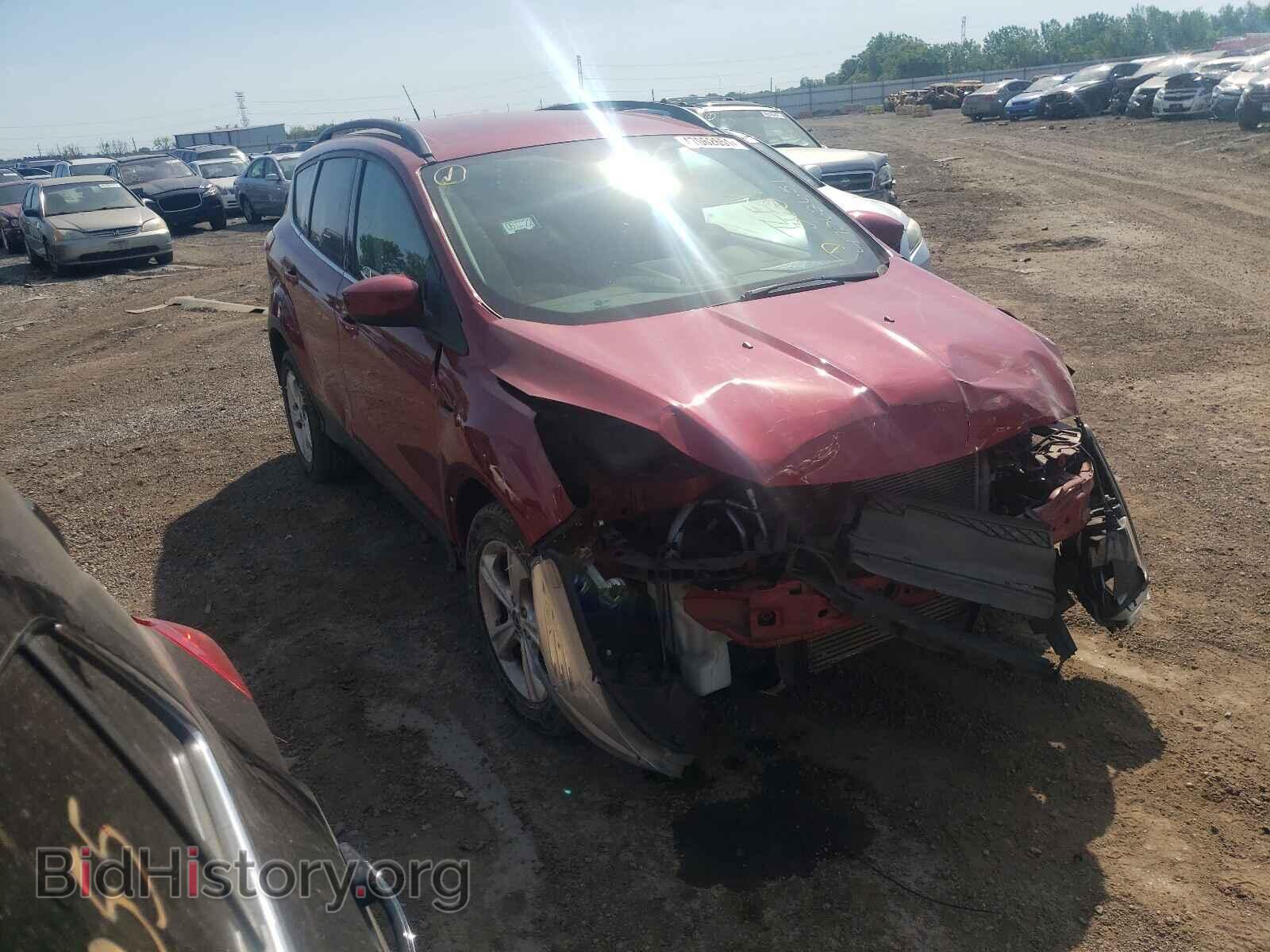 Фотография 1FMCU0GX4EUB13109 - FORD ESCAPE 2014