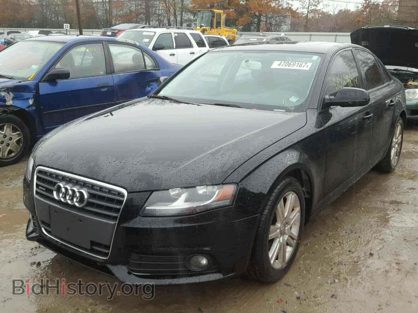 2010 AUDI A4 - VIN: WAUBFAFL0AN010155 - Фото 2