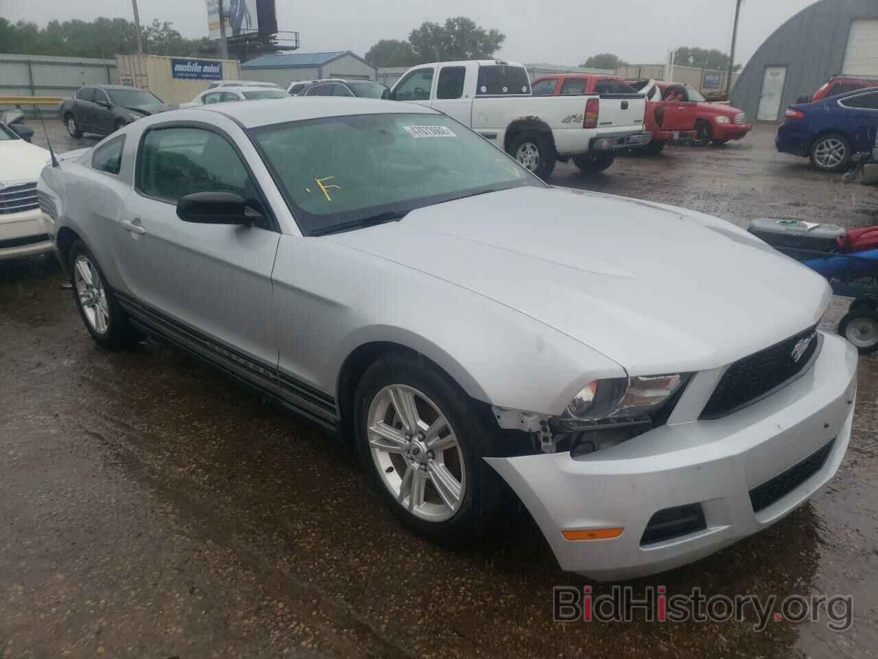 Photo 1ZVBP8AN5A5173088 - FORD MUSTANG 2010