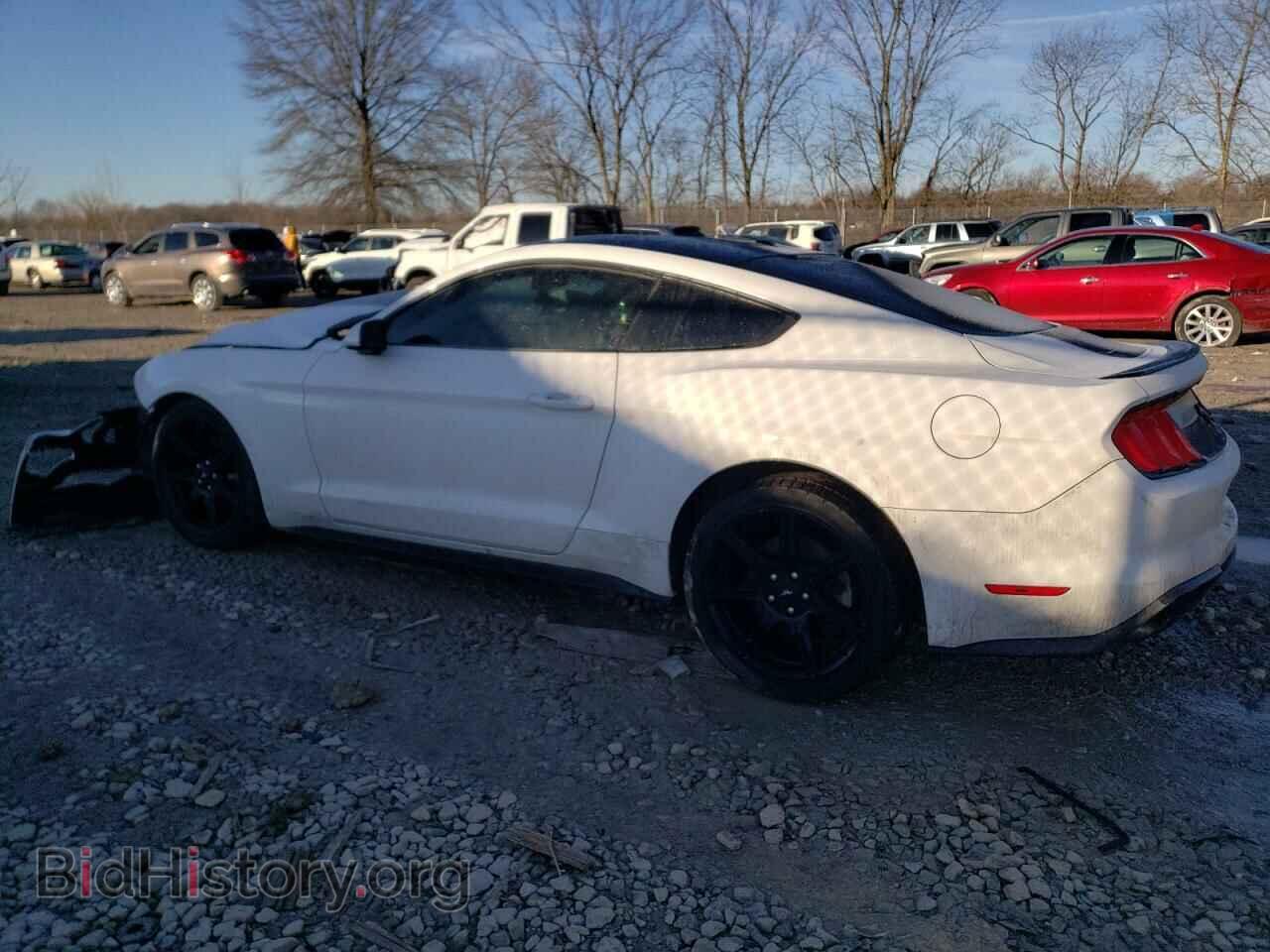 2019 FORD ALL Models - VIN: 1FA6P8TH8K5192205 - Фото 2