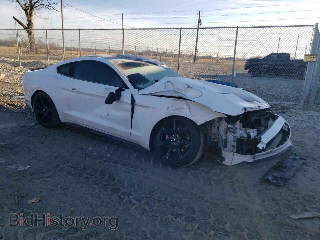 2019 FORD ALL Models - VIN: 1FA6P8TH8K5192205 - Фото 4