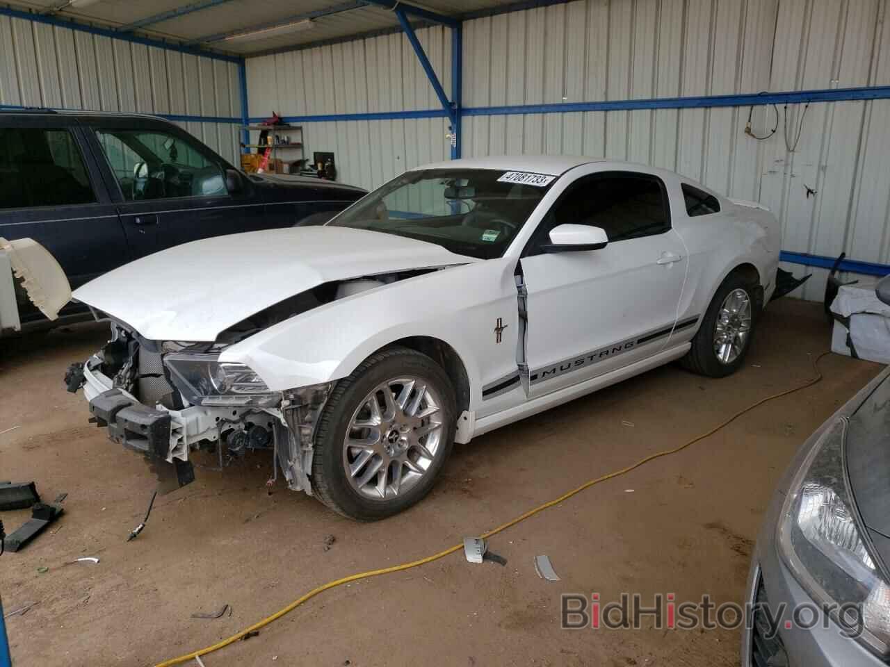 Photo 1ZVBP8AM3D5275209 - FORD MUSTANG 2013
