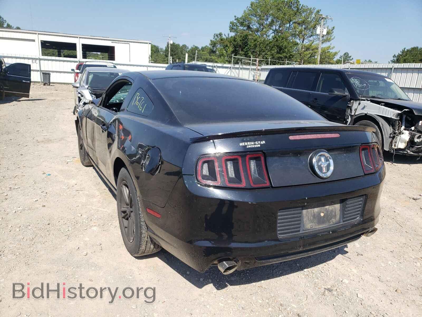 2013 FORD MUSTANG - VIN: 1ZVBP8AM5D5258444 - Фото 3
