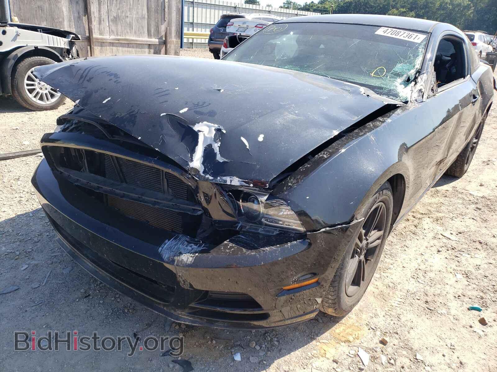 2013 FORD MUSTANG - VIN: 1ZVBP8AM5D5258444 - Фото 9