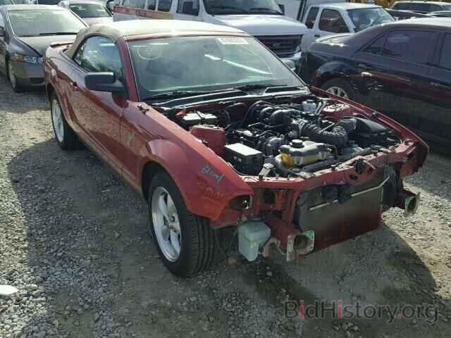 Photo 1ZVHT84N295113055 - FORD MUSTANG 2009