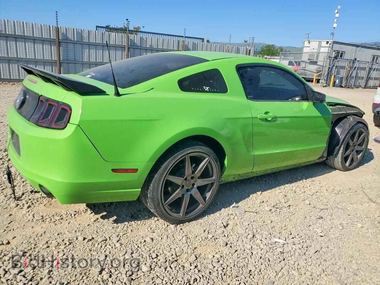 2013 FORD MUSTANG - VIN: 1ZVBP8AM4D5213673 - Фото 3