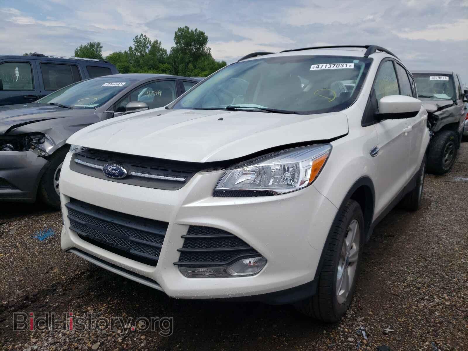 2013 FORD ESCAPE - VIN: 1FMCU9G94DUC13232 - Фото 2