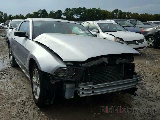 Photo 1ZVBP8AM7D5282163 - FORD MUSTANG 2013