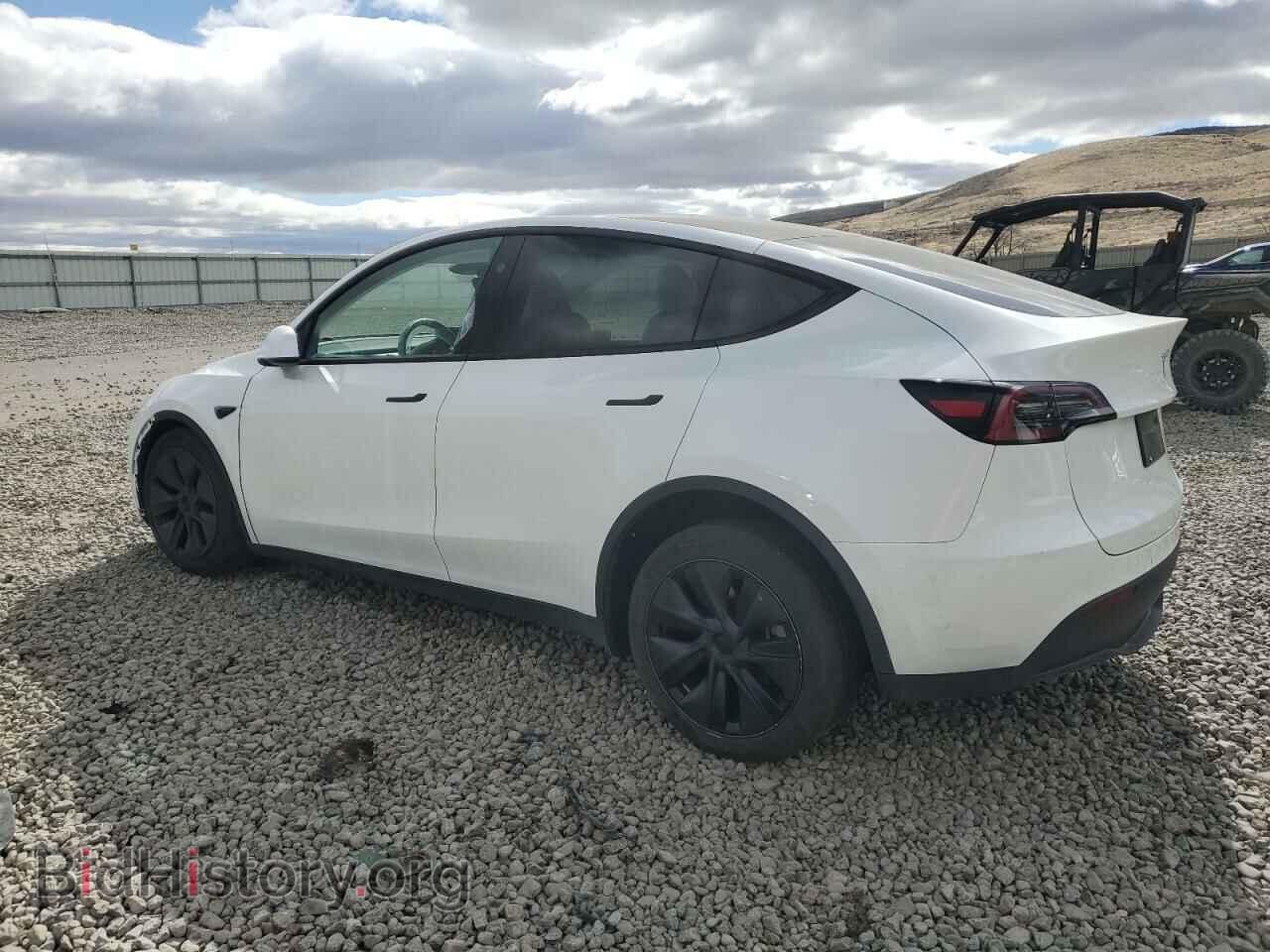 2024 TESLA MODEL Y - VIN: 7SAYGDEE2RF130499 - Фото 2