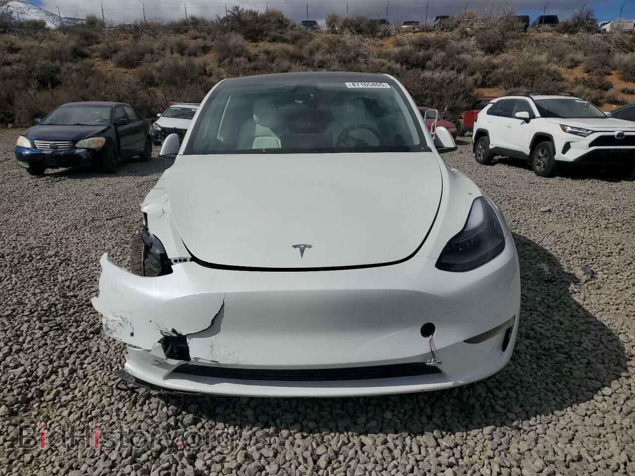 2024 TESLA MODEL Y - VIN: 7SAYGDEE2RF130499 - Фото 5
