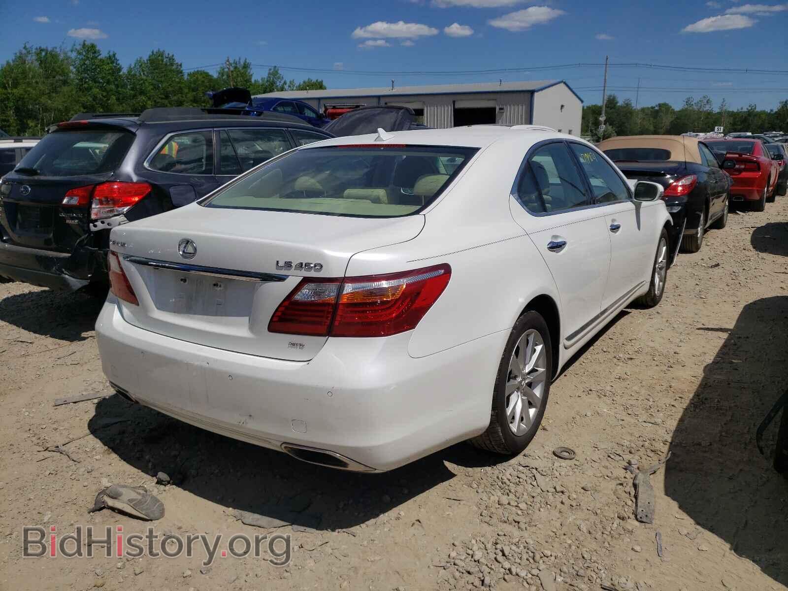 2010 LEXUS LS460 - VIN: JTHCL5EF2A5008599 - Фото 4