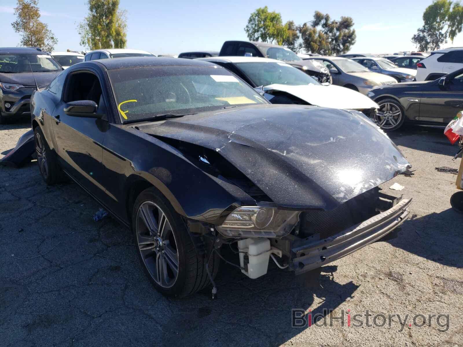 Photo 1ZVBP8AM7E5316703 - FORD MUSTANG 2014