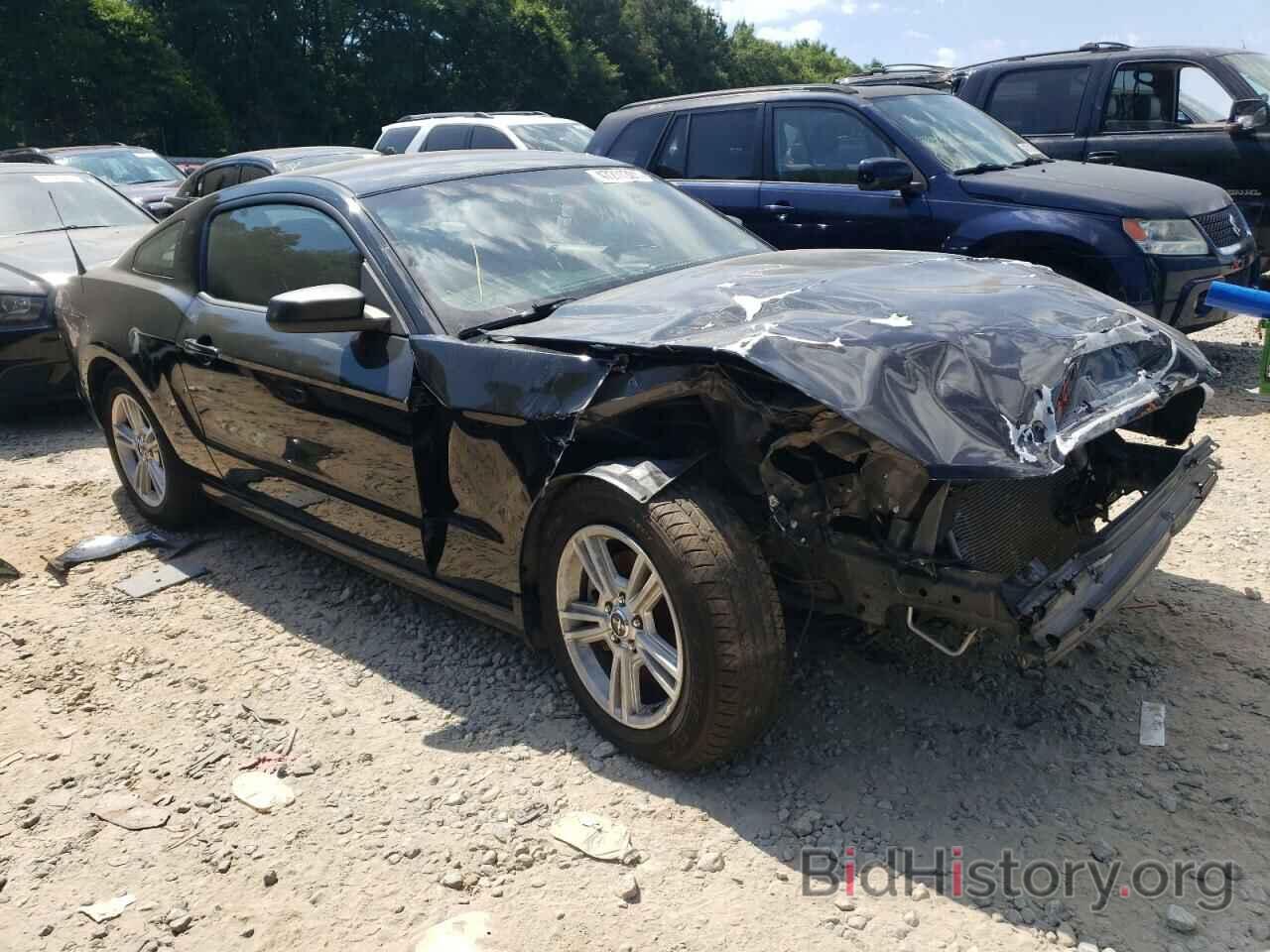 Photo 1ZVBP8AM8E5267835 - FORD MUSTANG 2014