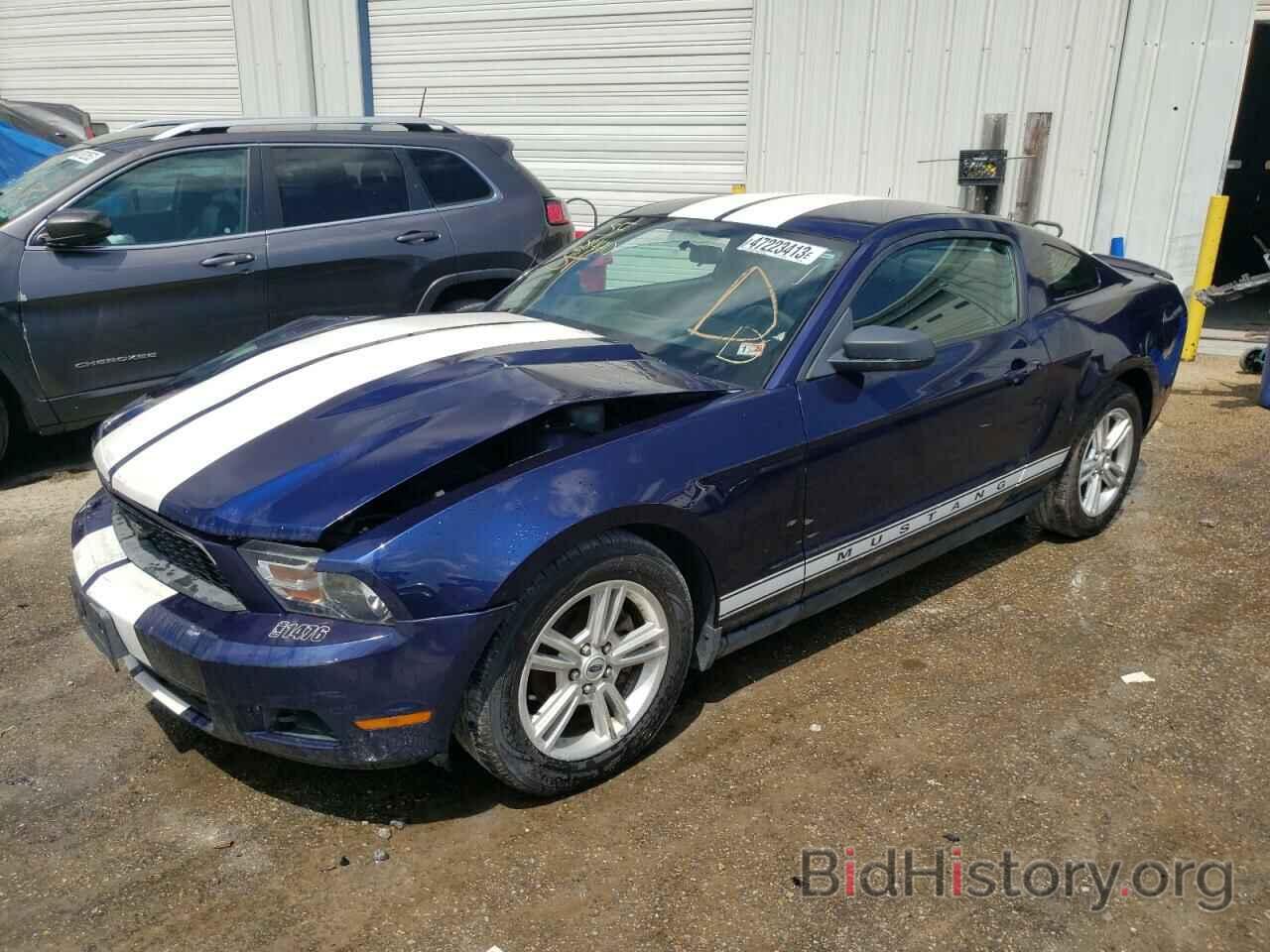 Photo 1ZVBP8AN1A5168440 - FORD MUSTANG 2010