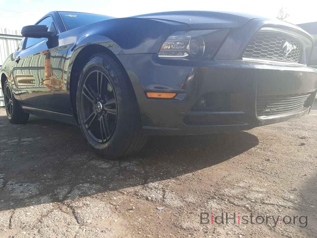 Photo 1ZVBP8AM9E5265723 - FORD MUSTANG 2014